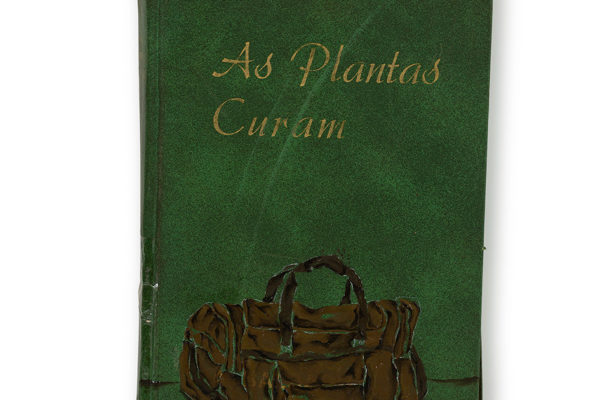 Dalton Paula | As plantas curam | Detalhe | Foto: Paulo Rezende